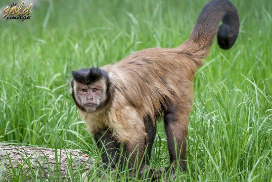 Grădina Zoologică Oradea