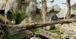Grădina zoologică Bioparc Fuengirola