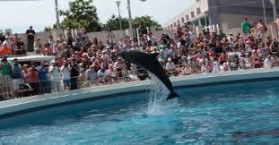 Complexul Muzeal de Științele ale Naturii