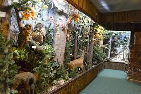 Muzeul Rezervației Bucegi