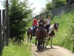 Agrement Vatra Dornei