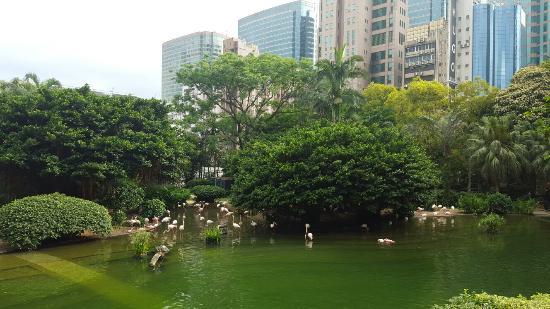 Parcul Kowloon