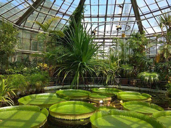 Grădina Botanică din Cluj-Napoca