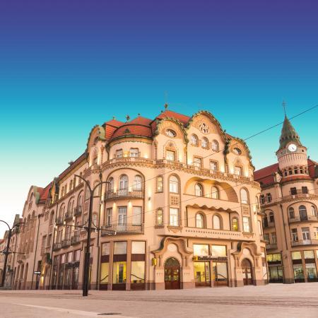 Palatul Vulturul Negru din Oradea