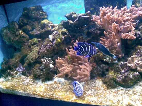 Centrul Muzeal Ecoturistic "Delta Dunării"