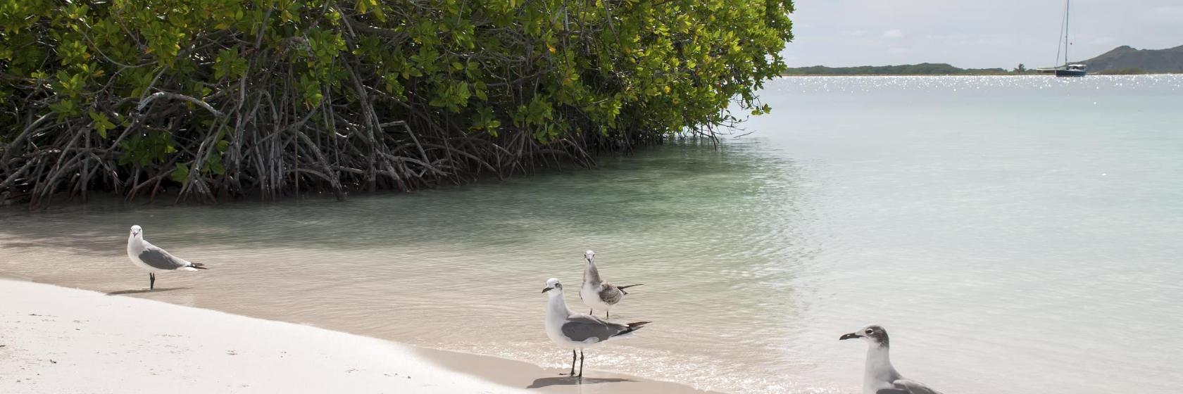 Boca Ciega Bay Aquatic Preserve