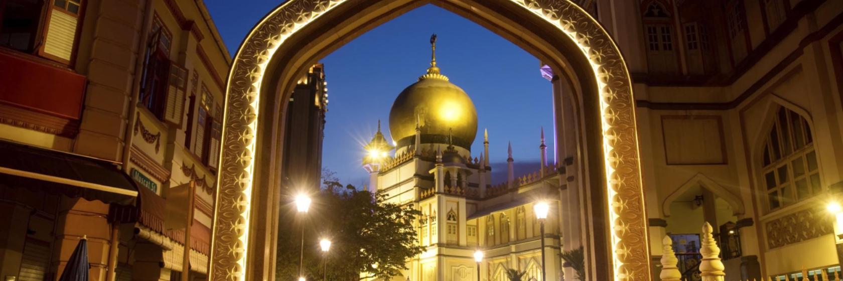 Moscheea Masjid Sultan