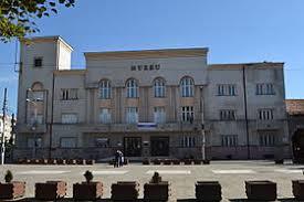 Muzeul Județean Satu Mare